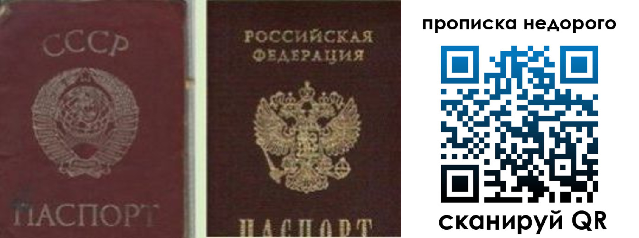 временная регистрация поиск в Курганской области